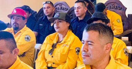 Imagen de descarga de reporte