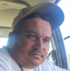 Imagen de descarga de reporte