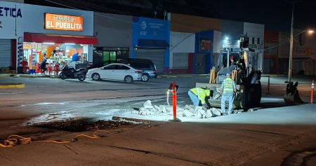 Imagen de descarga de reporte