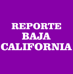 Regidor Miguel Loza en programa